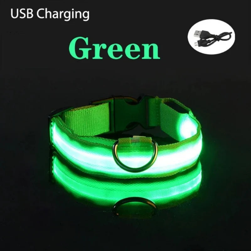 LED Light-Up Dog Collar - USB Rechargeable Safety Collar