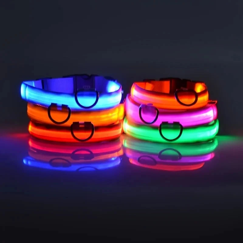LED Light-Up Dog Collar - USB Rechargeable Safety Collar