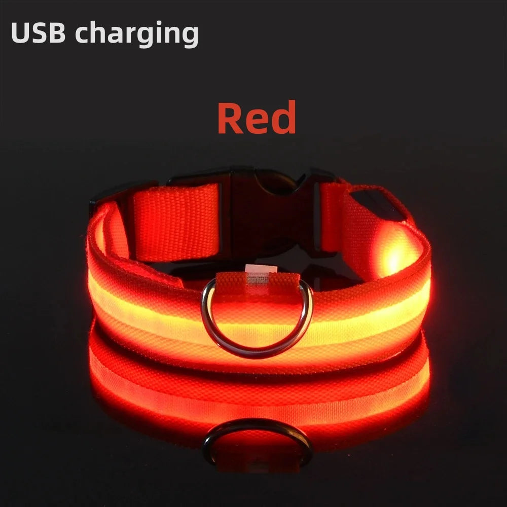 LED Light-Up Dog Collar - USB Rechargeable Safety Collar