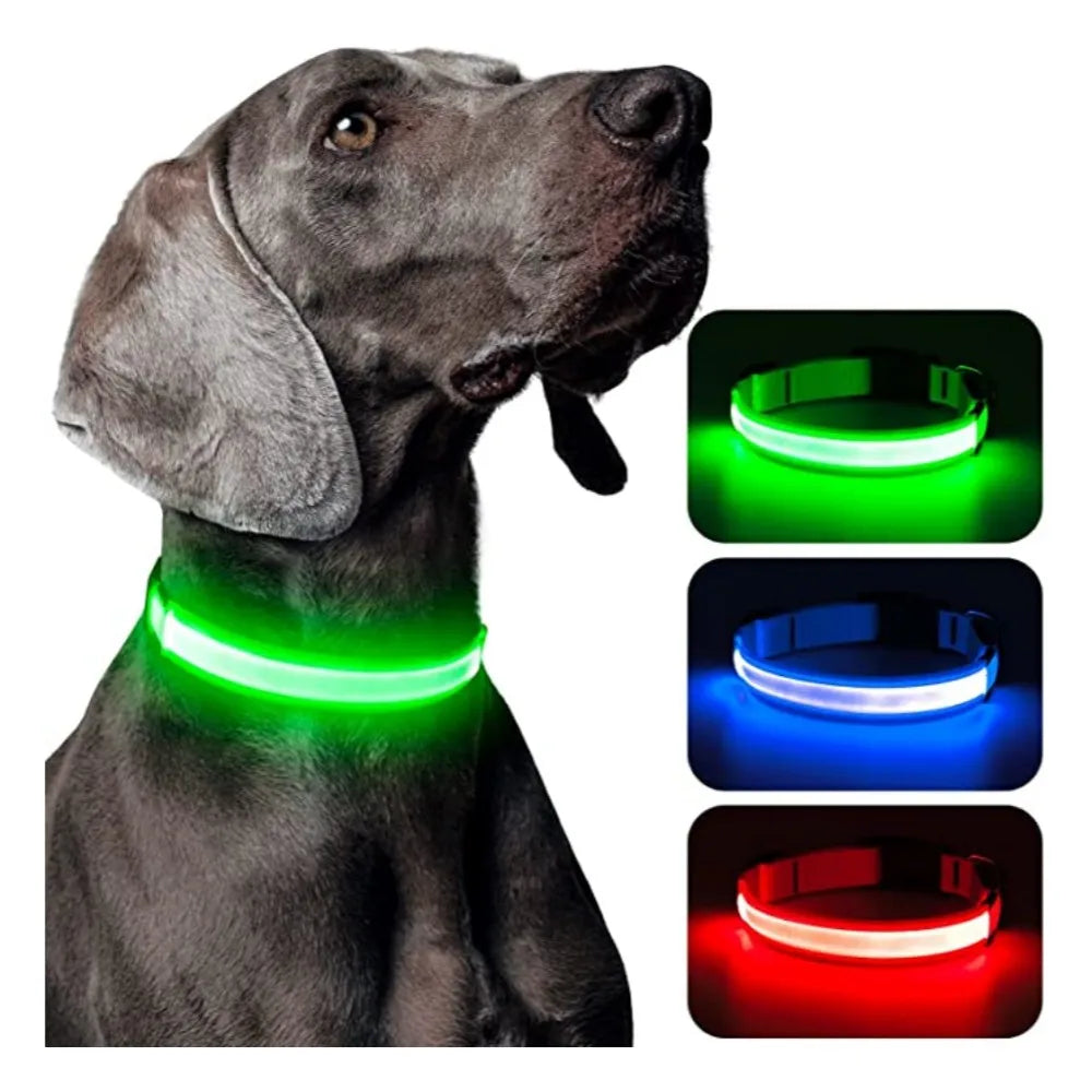 LED Light-Up Dog Collar - USB Rechargeable Safety Collar