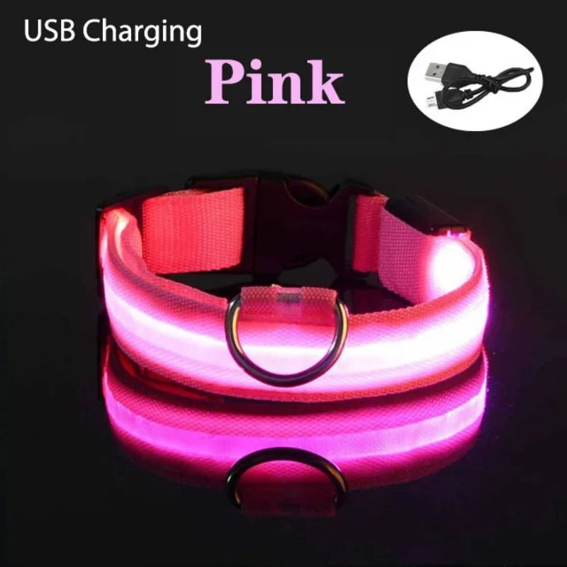 LED Light-Up Dog Collar - USB Rechargeable Safety Collar