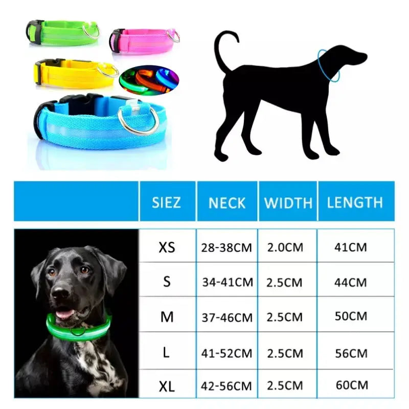 LED Light-Up Dog Collar - USB Rechargeable Safety Collar
