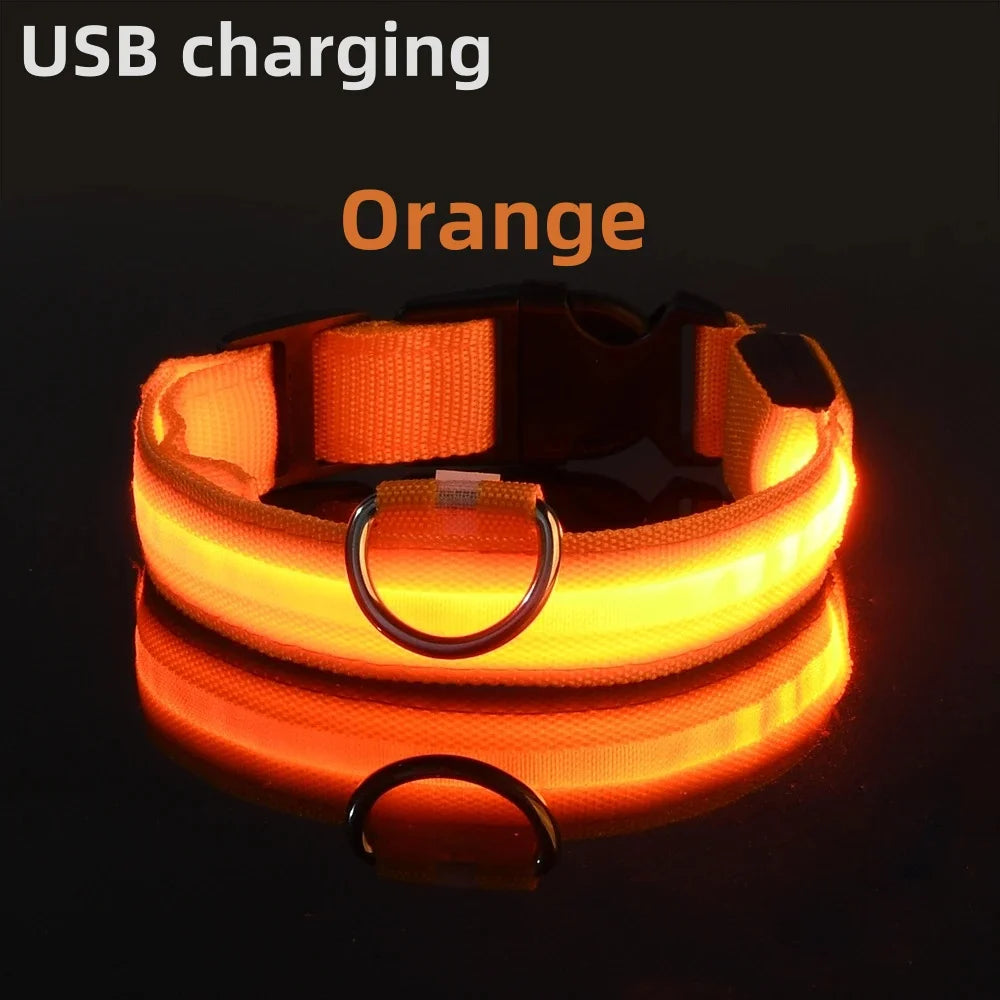 LED Light-Up Dog Collar - USB Rechargeable Safety Collar