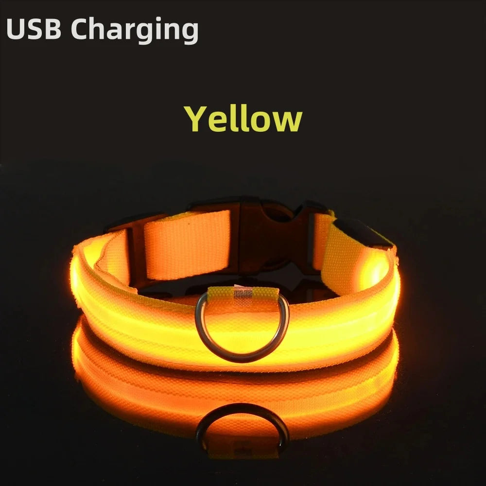LED Light-Up Dog Collar - USB Rechargeable Safety Collar