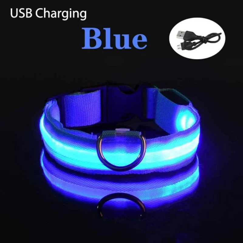LED Light-Up Dog Collar - USB Rechargeable Safety Collar