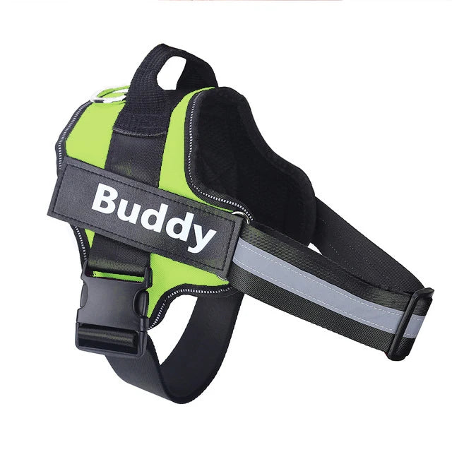 Custom Name Patch No-Pull Dog Harness - Green