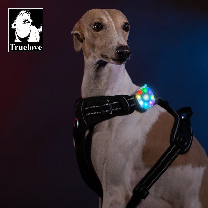 LED Safety Light for Dogs - Clip-On & Waterproof