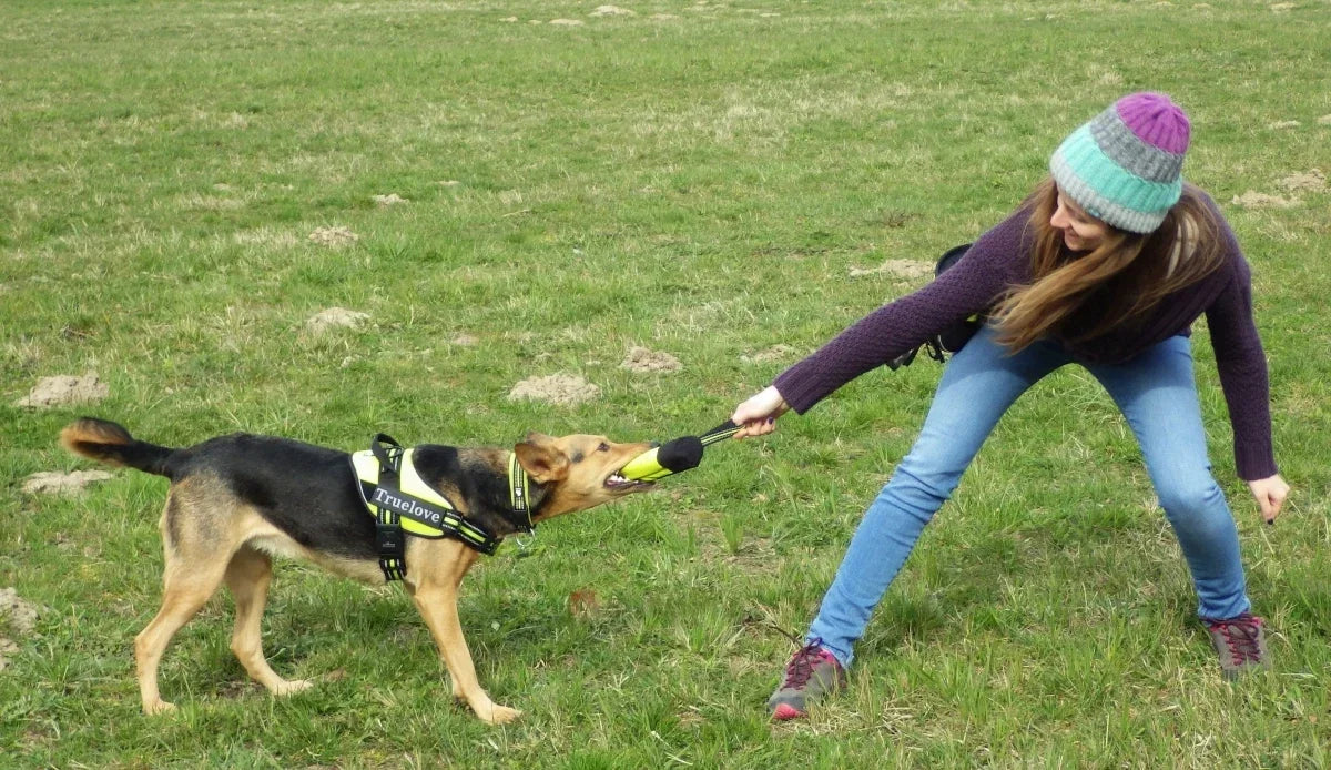 Dog Training Treat Pouch with Zipper