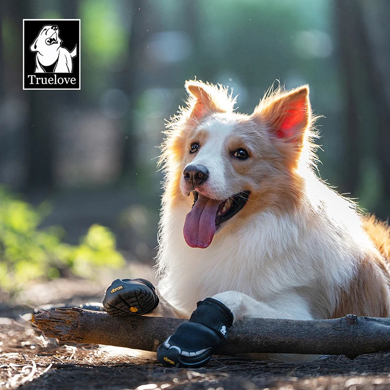Dog Boots with Vibram Soles - Protective Paw Shoes (2 or 4 Pack)