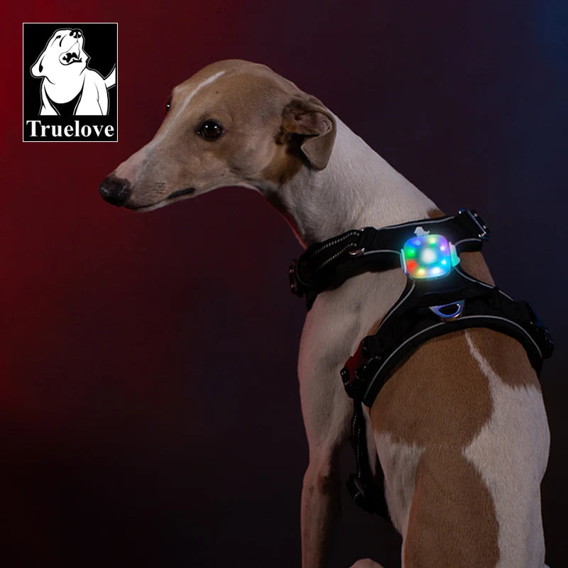 LED Safety Light for Dogs - Clip-On & Waterproof