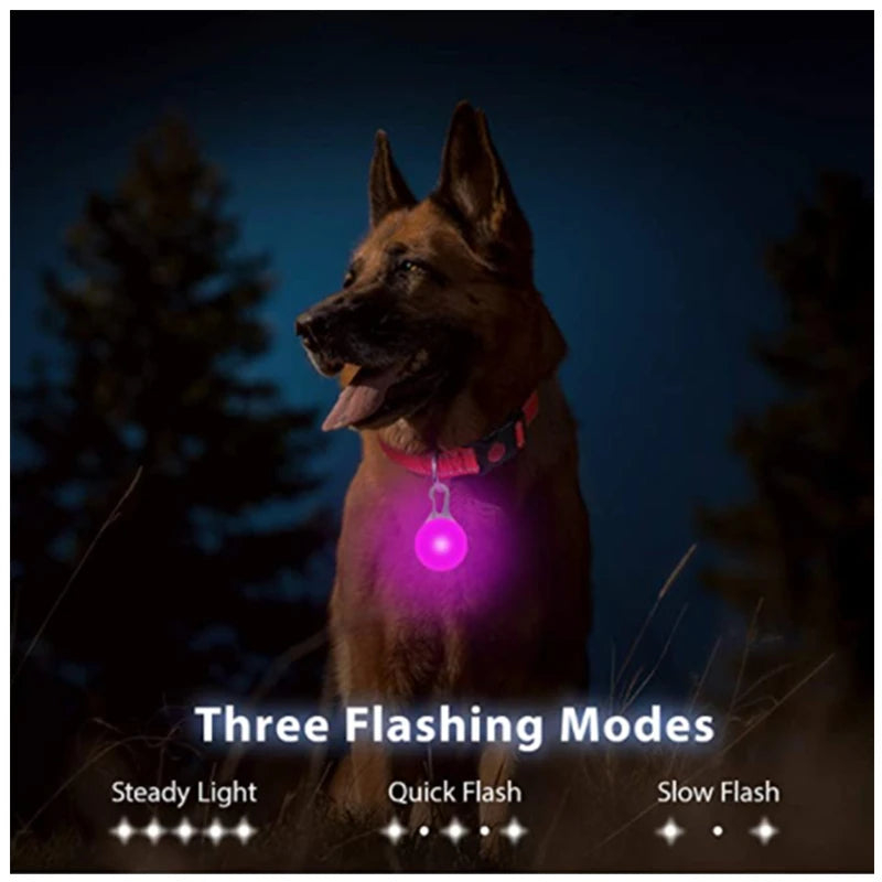 LED Light-Up Dog Collar - USB Rechargeable Safety Collar