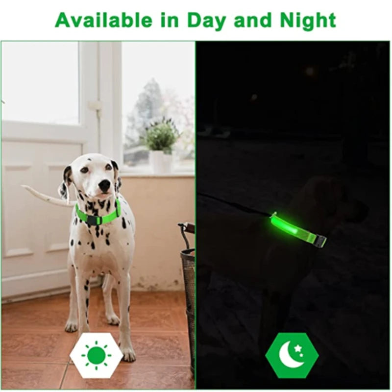 LED Light-Up Dog Collar - USB Rechargeable Safety Collar