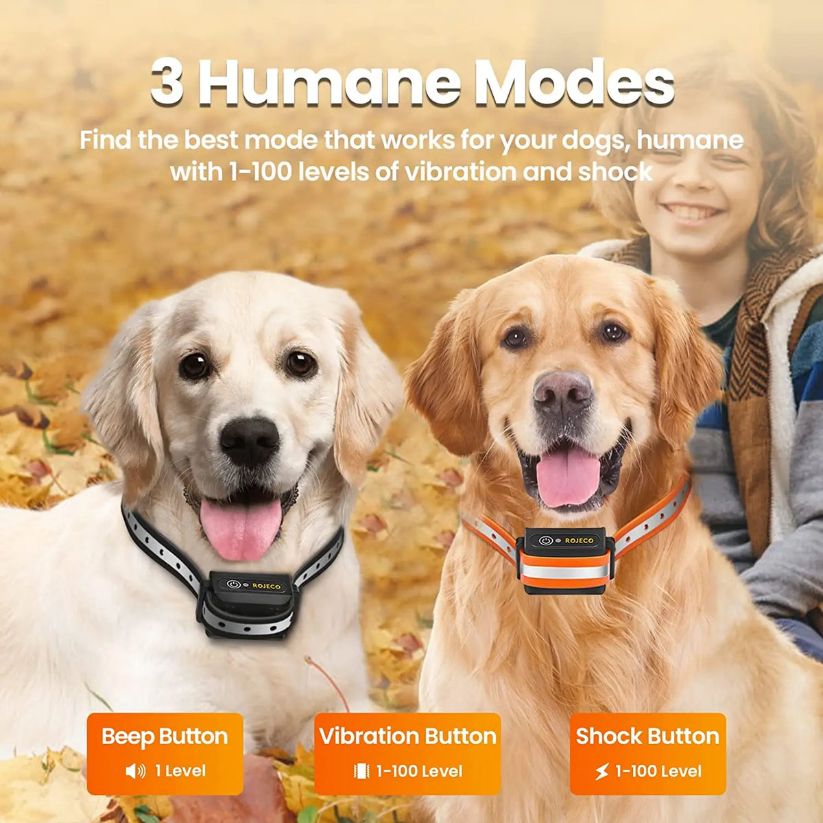 Remote Dog Training Collar - Beep, Vibration & Shock (1000m, IPX7)