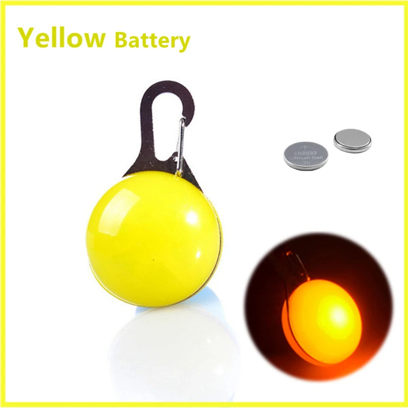 LED Light-Up Dog Collar - USB Rechargeable Safety Collar
