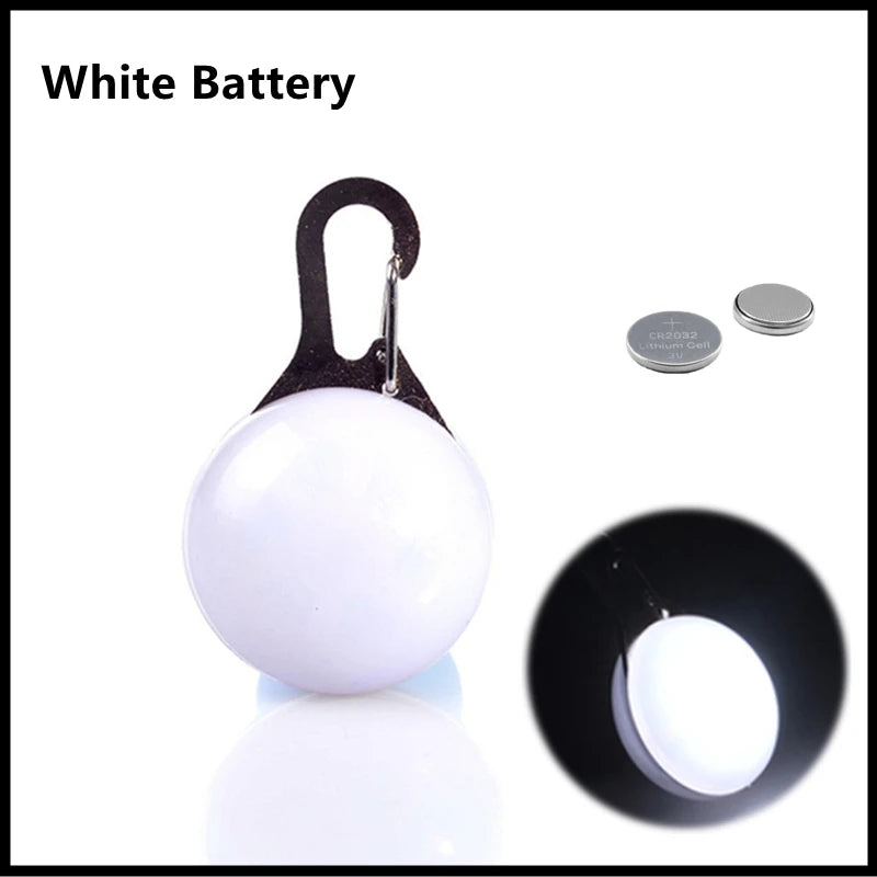LED Light-Up Dog Collar - USB Rechargeable Safety Collar