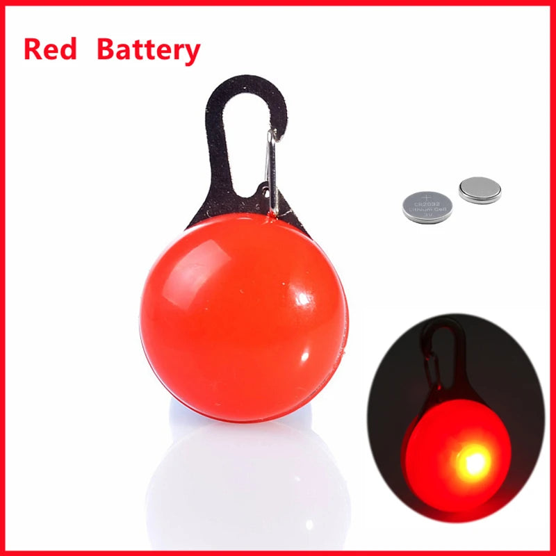 LED Light-Up Dog Collar - USB Rechargeable Safety Collar