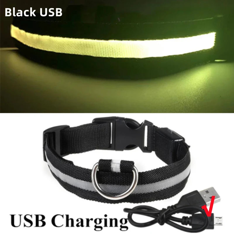 LED Light-Up Dog Collar - USB Rechargeable Safety Collar
